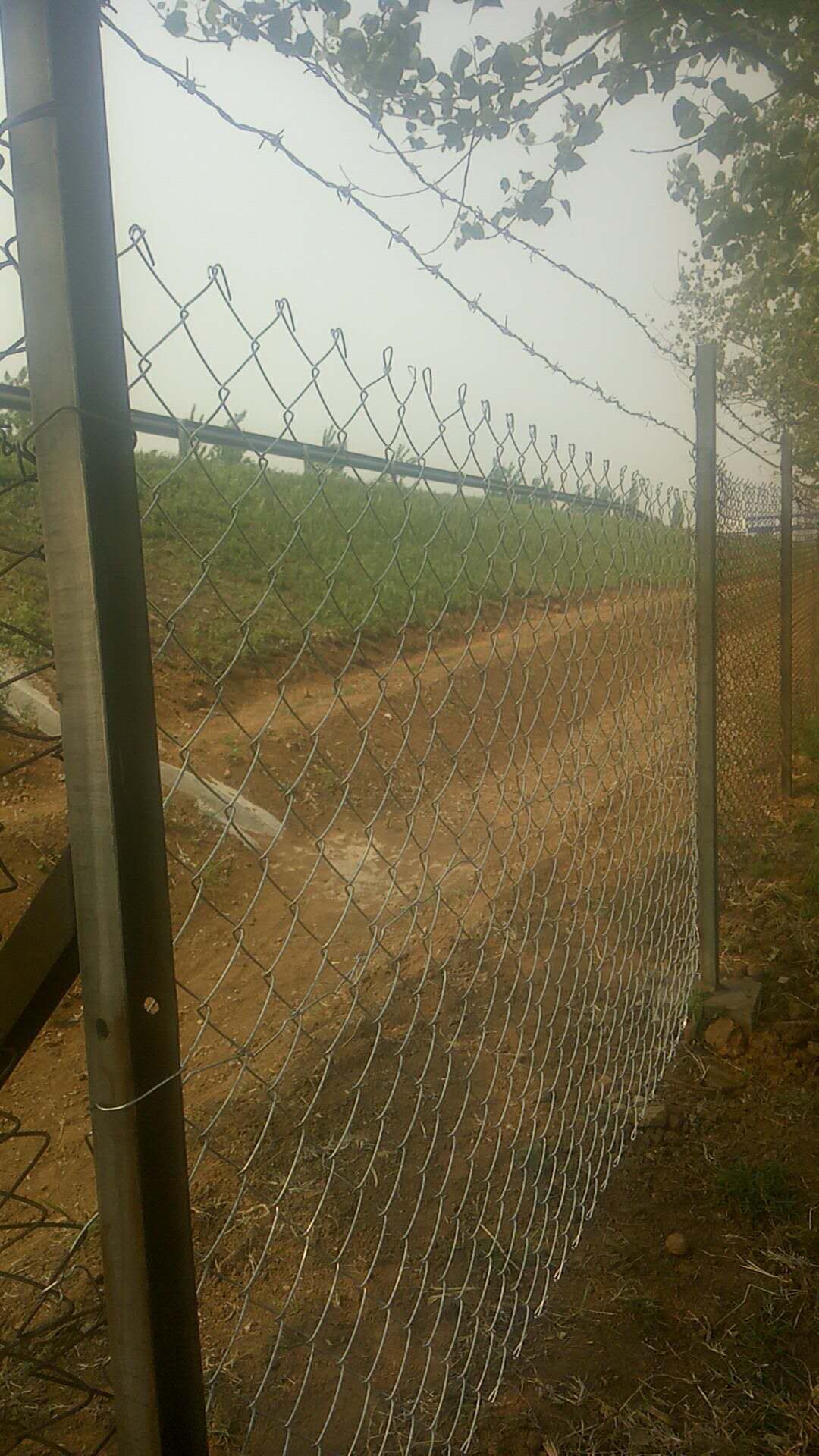 1563149302729616.jpg 1.jpg