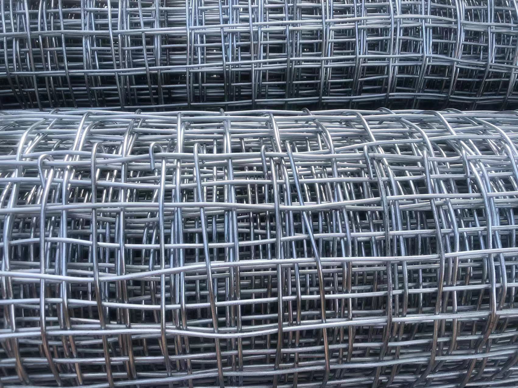 新疆濟(jì)寧礦用經(jīng)緯網(wǎng)圖片3